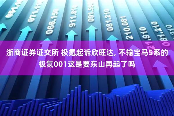 浙商证券证交所 极氪起诉欣旺达, 不输宝马5系的极氪001这是要东山再起了吗